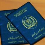 سینیٹ کا بل