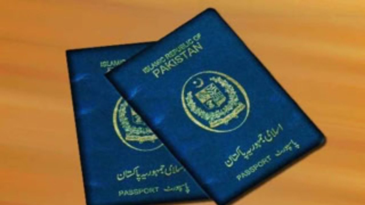 سینیٹ کا بل