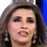 حمیرا چنّا کی گاڑی چوری