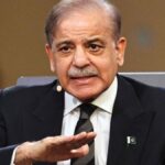 پی ٹی آئی کی کارکردگی