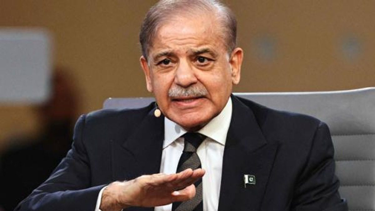 پی ٹی آئی کی کارکردگی